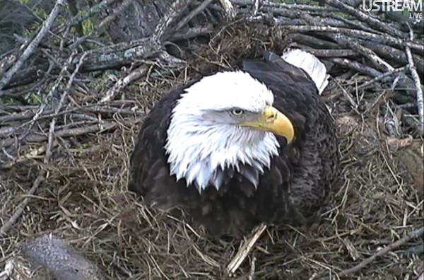 ScreenHunter_44 Mar. 31 19.59.jpg